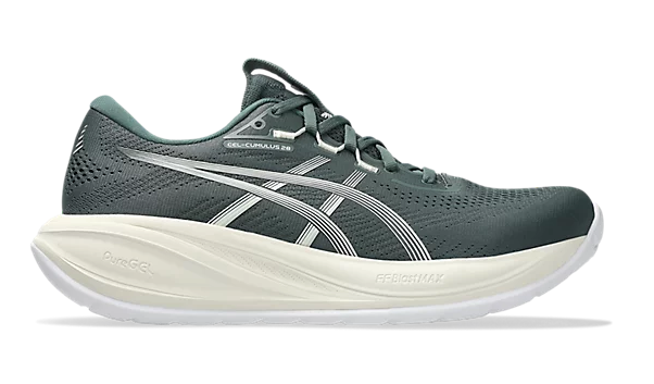 Cumulus 28 - Dusty Fern/Ivory (M)